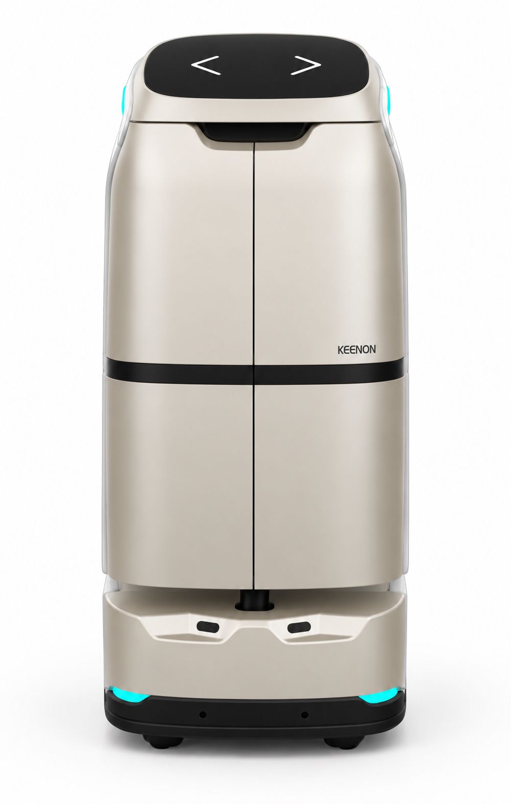 Autonomous Hotel and Hospital Delivery Robot