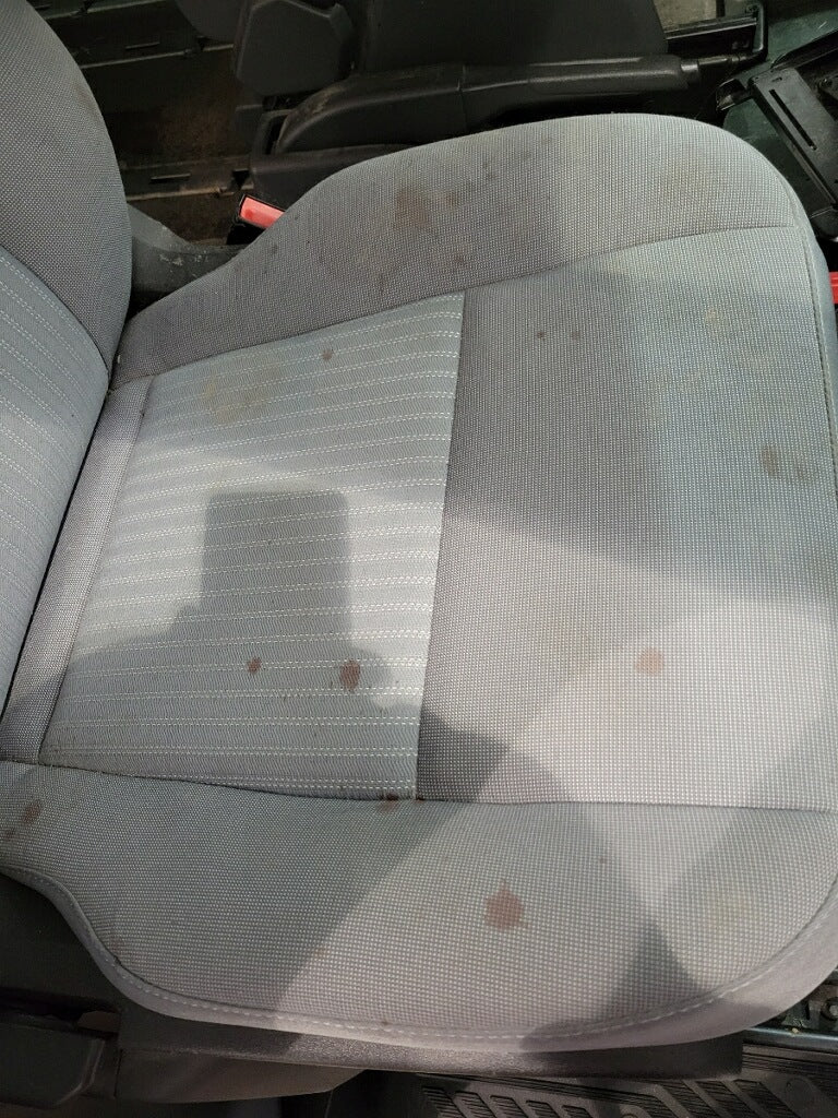 How to Get Urine & Pet Stains Out of Leather Upholstery