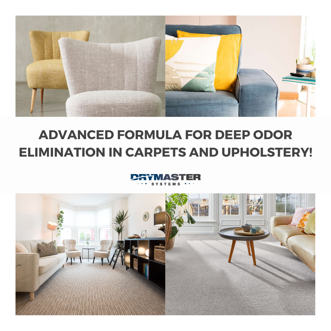 Out The Odor - Pet Urine Stain &amp; Odor Eliminator