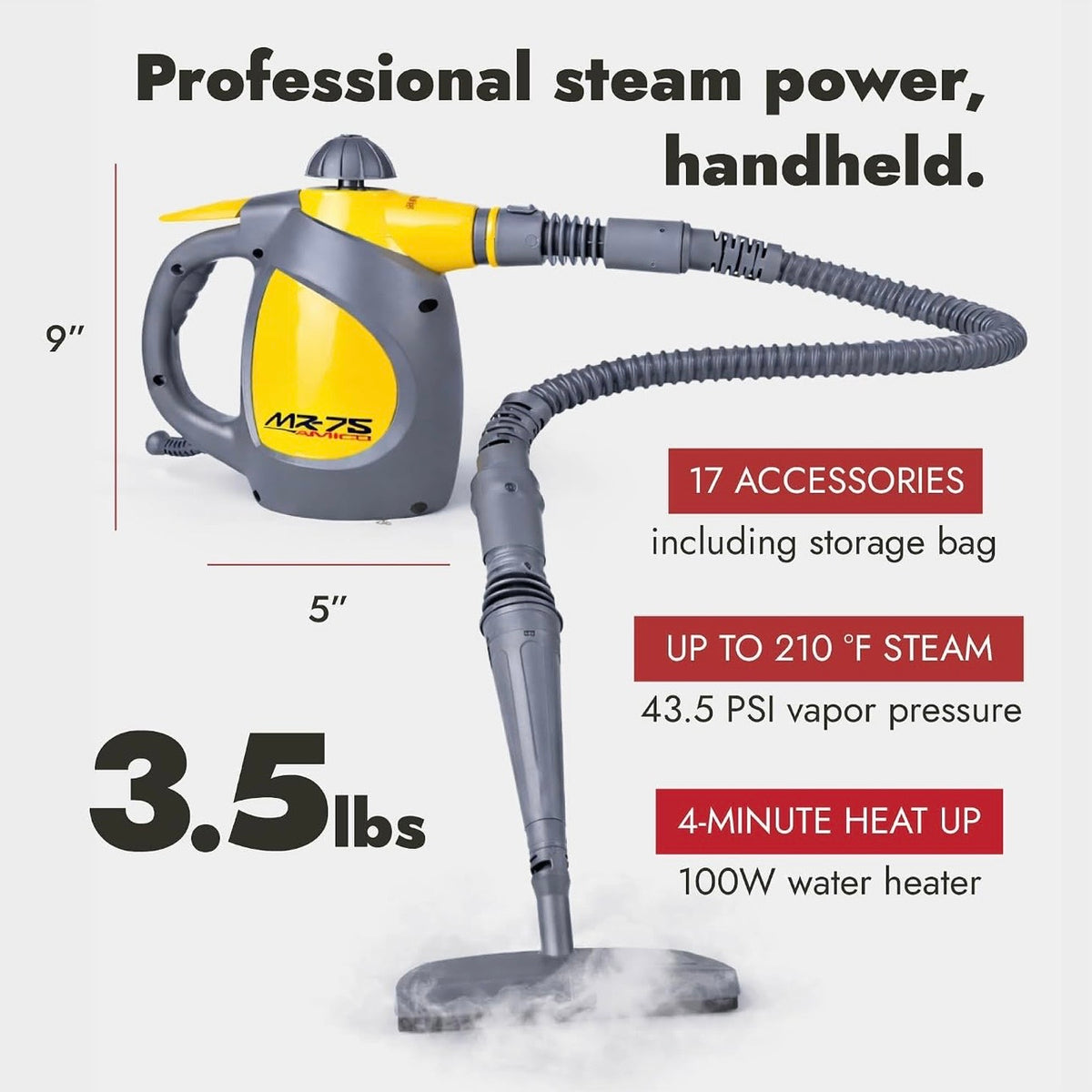 Handheld Steam Cleaner for Dye Spot removal, Bed Bugs, Auto and Grout;