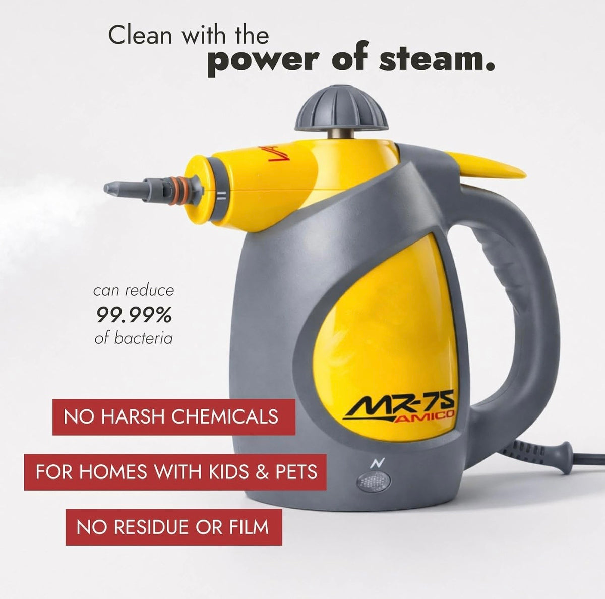 Handheld Steam Cleaner for Dye Spot removal, Bed Bugs, Auto and Grout;