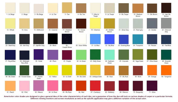 Professional Carpet Spot Dye Kit