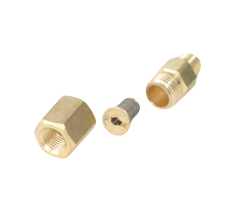 Westpak 1/4" MNPT Brass Filter Assembly w/Check Valve