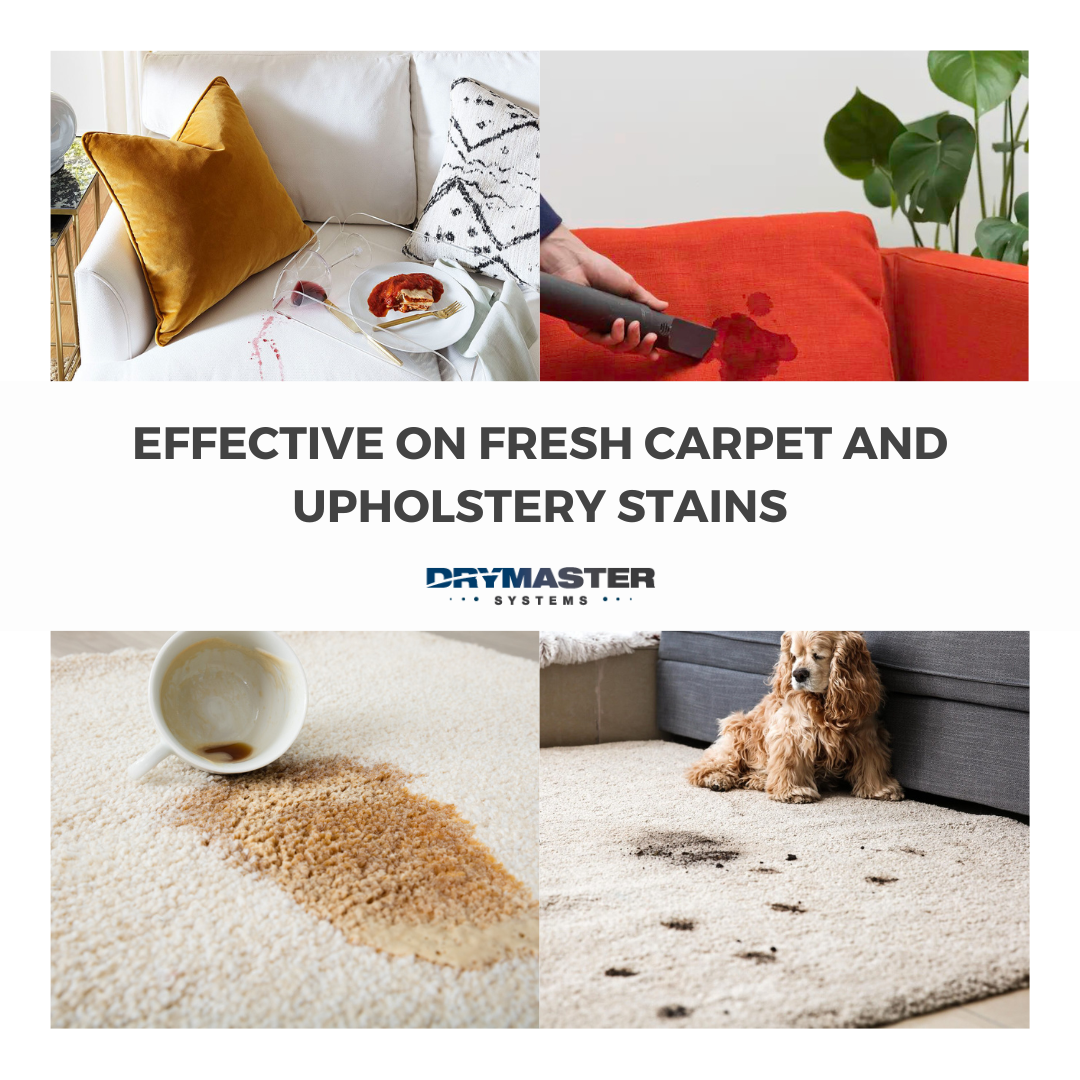 remove-x upholstery stain remover used on fabric chair