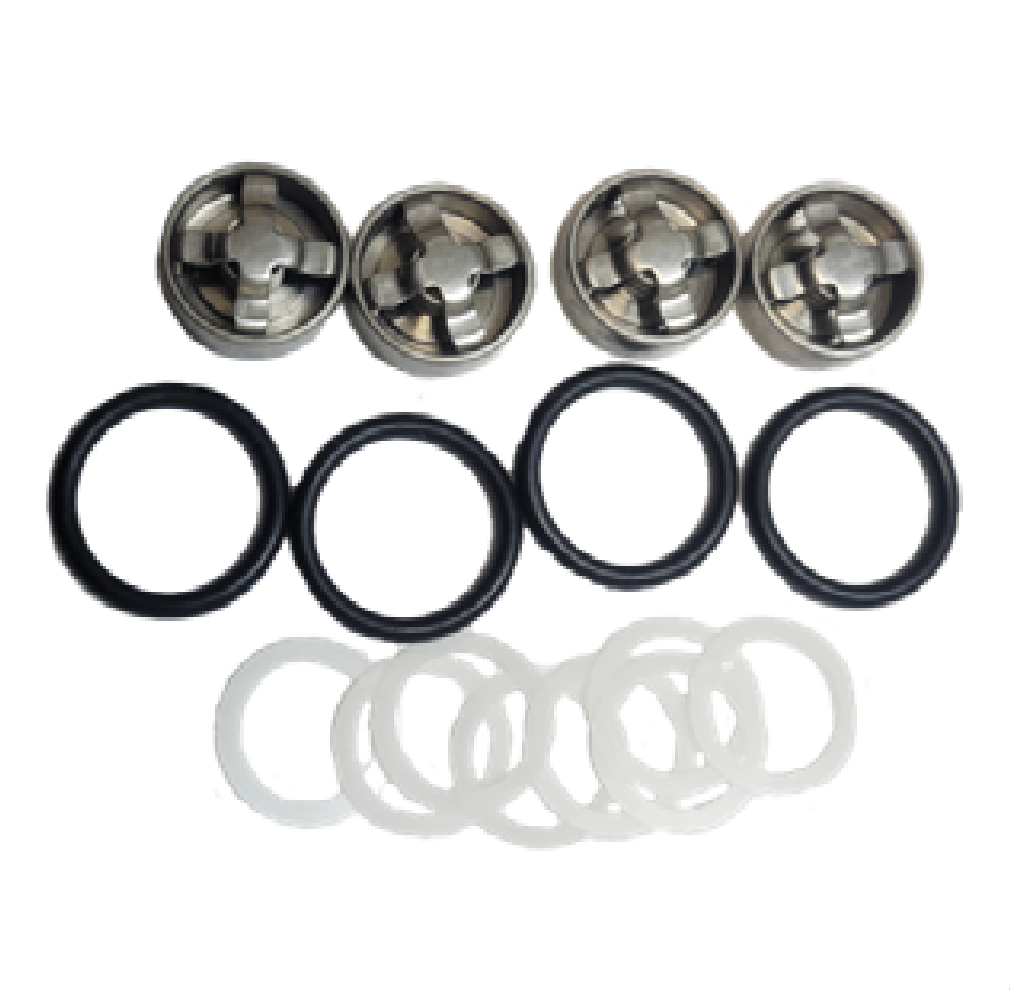 Sandia 200 PSI Pump Rebuild Kit B Valve and Seals