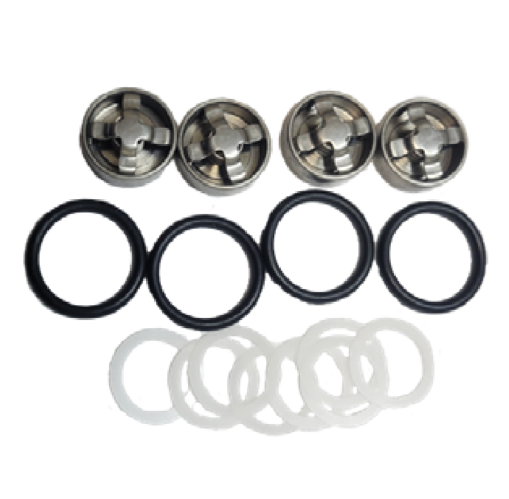 Sandia 300 PSI Pump Rebuild Kit B Valve and Seals