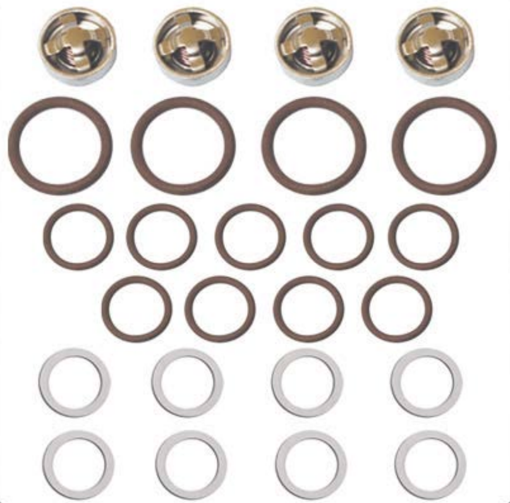 Sandia 500 PSI Pump Rebuild Kit B Valve and Seals