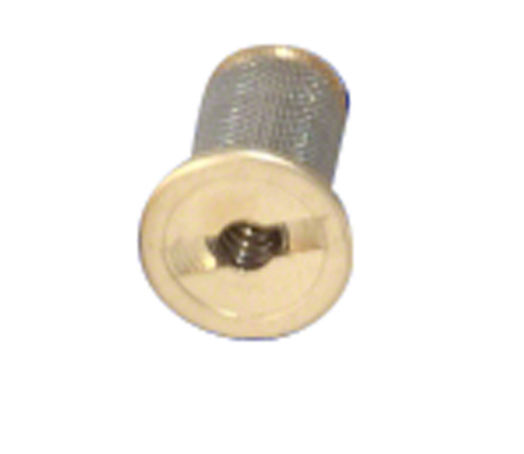 Westpak Filter Only w/Check Valve, 100 Mesh
