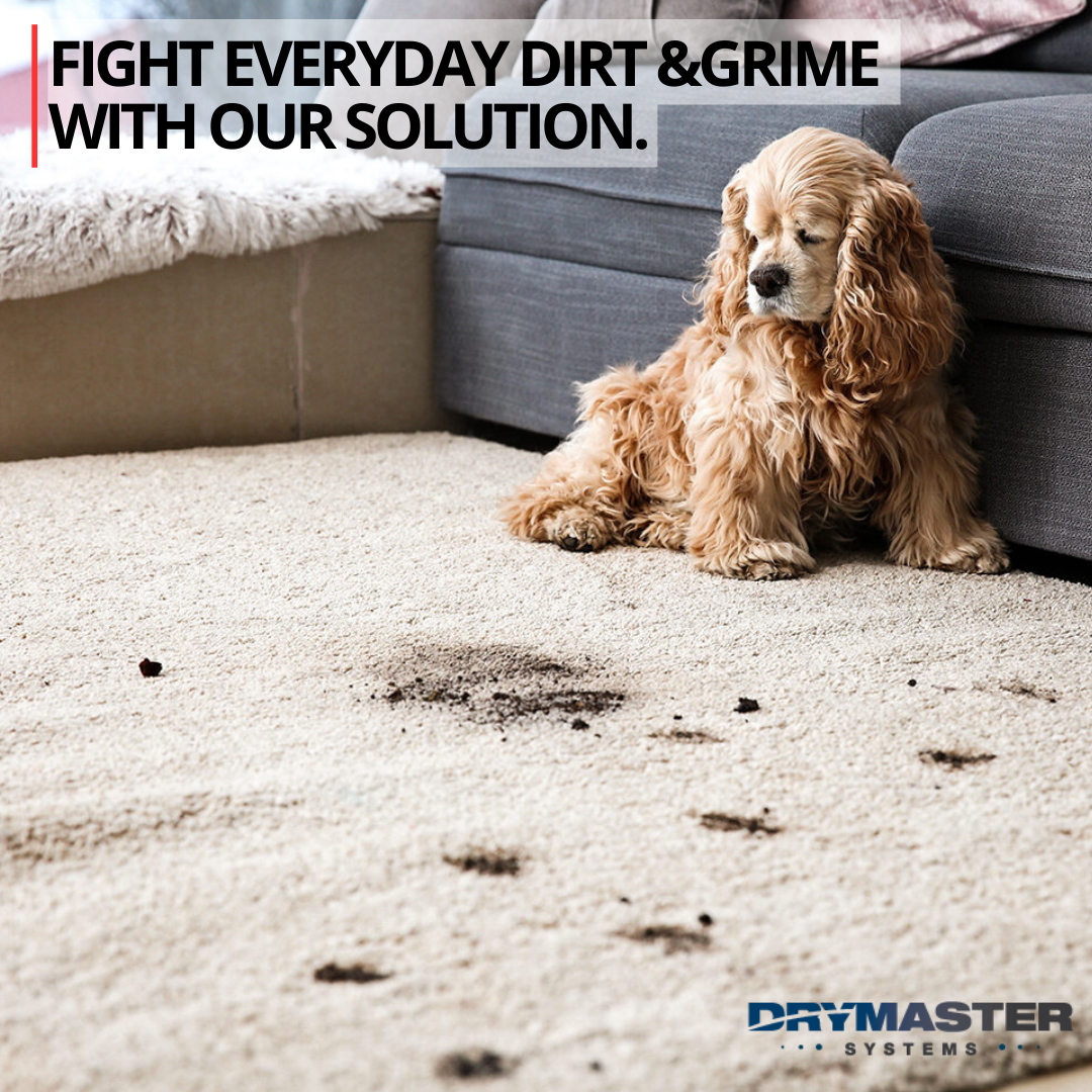 X-Trak Low Moisture Carpet Cleaning Solution