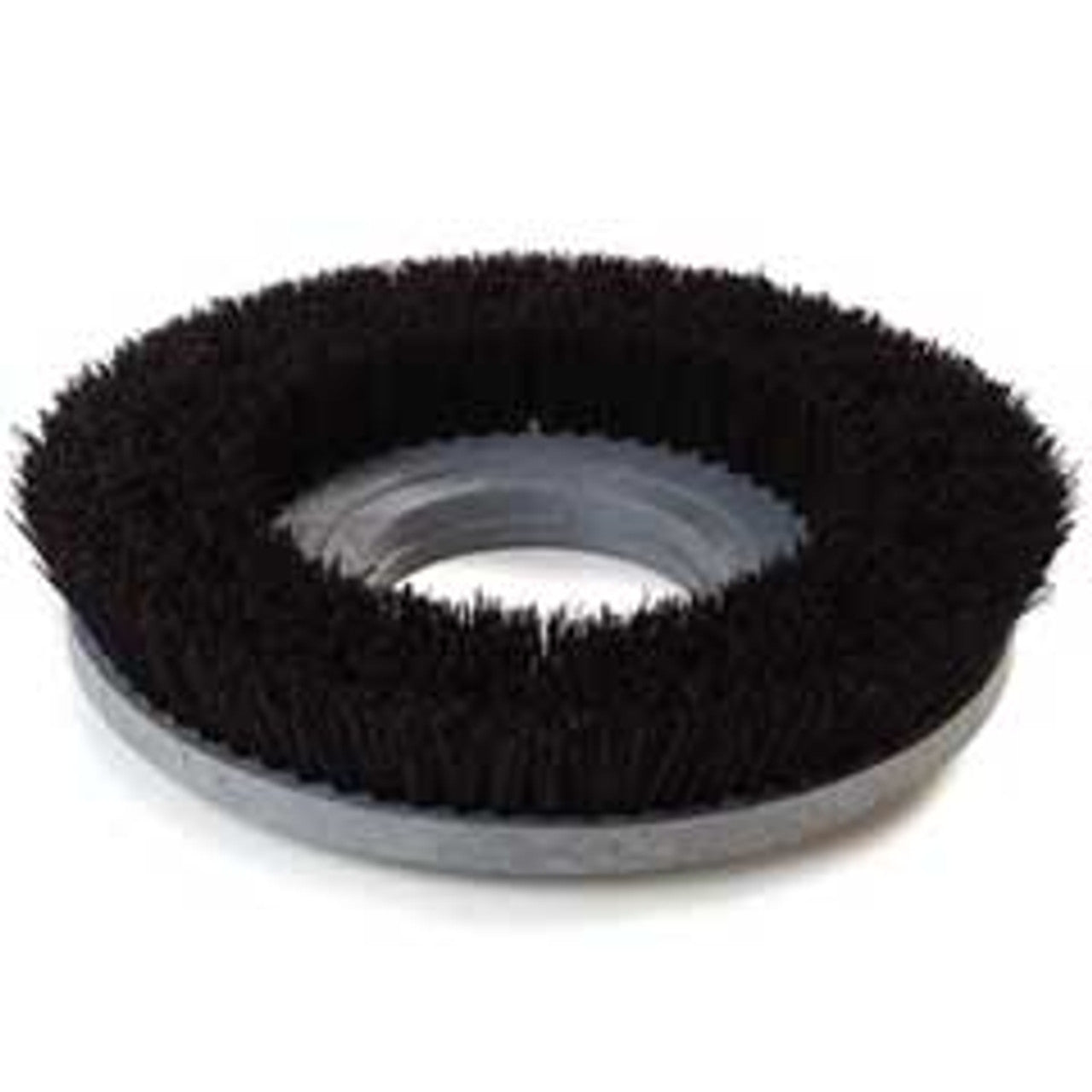 Mercury 19" Bassine Scrub Brush  with B / 92 Clutch Plate Fits Most 21 Inch Floor Buffers